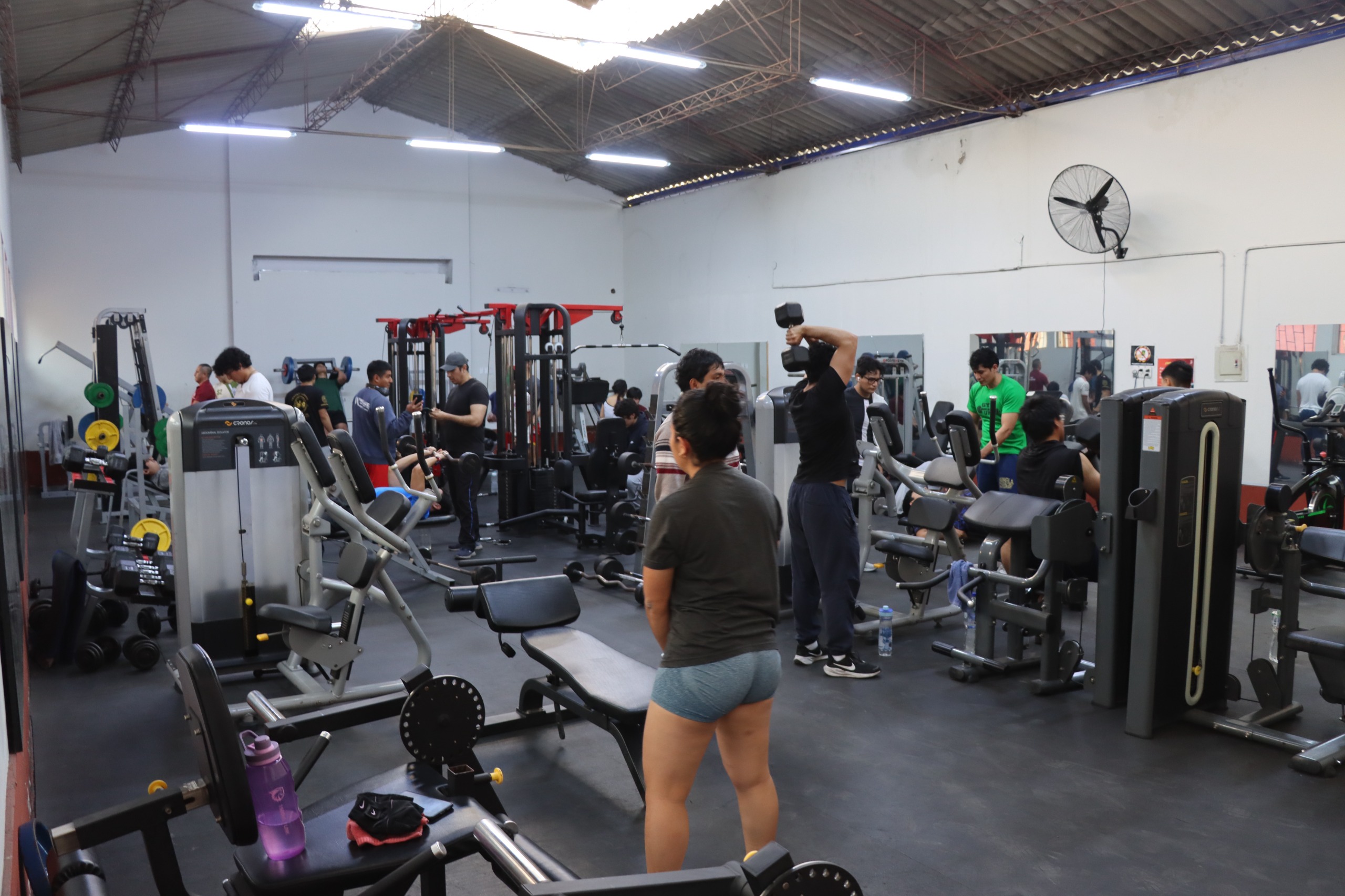 Musculación 2